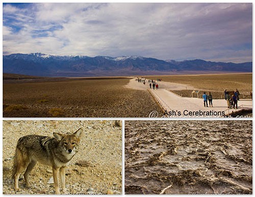 badwater1
